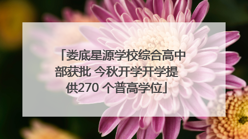 娄底星源学校综合高中部获批 今秋开学开学提供270 个普高学位