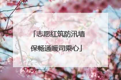 志愿红筑防汛墙 保畅通暖司乘心