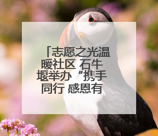 志愿之光温暖社区 石牛堰举办“携手同行 感恩有你”志愿服务答谢季
