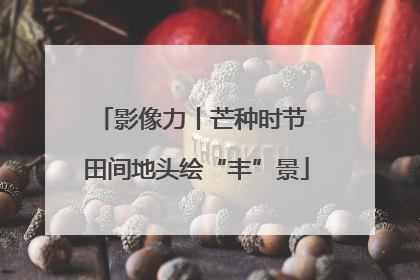 影像力丨芒种时节 田间地头绘“丰”景