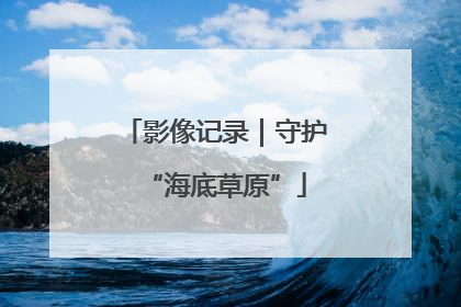 影像记录｜守护“海底草原”