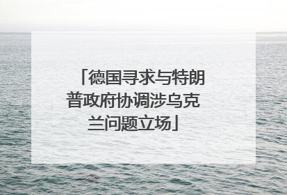 德国寻求与特朗普政府协调涉乌克兰问题立场