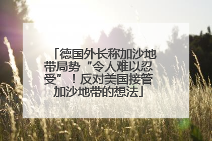 德国外长称加沙地带局势“令人难以忍受”！反对美国接管加沙地带的想法