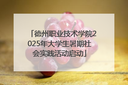 德州职业技术学院2025年大学生暑期社会实践活动启动