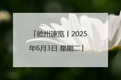 德州速览丨2025年6月3日 星期二