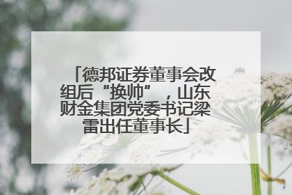 德邦证券董事会改组后“换帅”，山东财金集团党委书记梁雷出任董事长