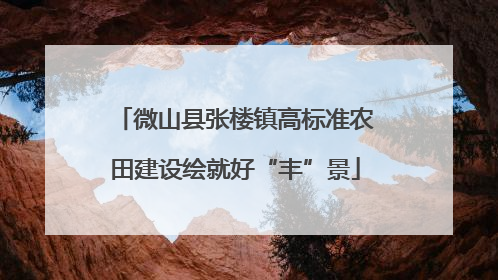 微山县张楼镇高标准农田建设绘就好“丰”景