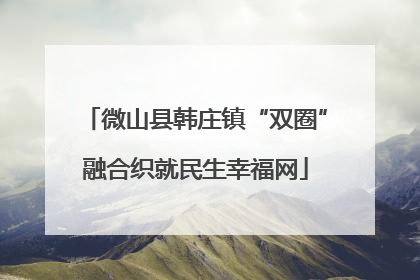 微山县韩庄镇“双圈”融合织就民生幸福网