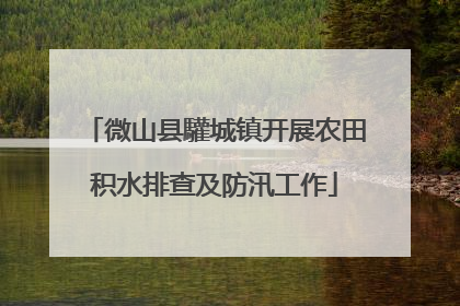微山县驩城镇开展农田积水排查及防汛工作
