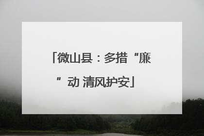 微山县：多措“廉”动 清风护安