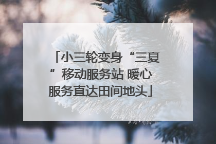 小三轮变身“三夏”移动服务站 暖心服务直达田间地头