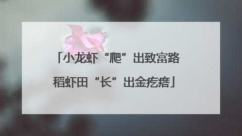 小龙虾“爬”出致富路 稻虾田“长”出金疙瘩