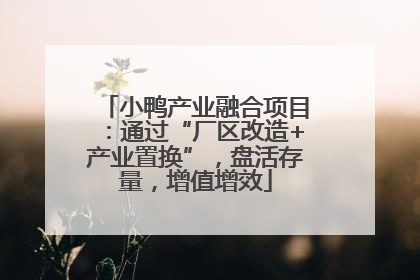 小鸭产业融合项目：通过“厂区改造+产业置换”，盘活存量，增值增效