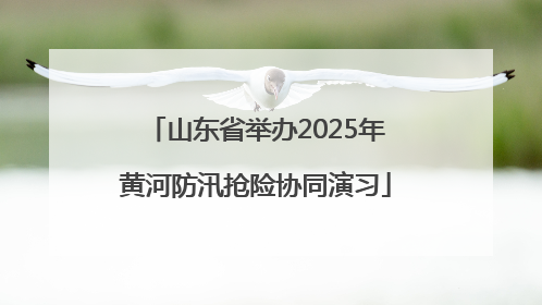 山东省举办2025年黄河防汛抢险协同演习