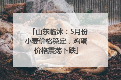 山东临沭：5月份小麦价格稳定，鸡蛋价格震荡下跌
