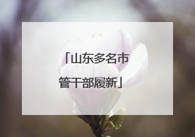 山东多名市管干部履新