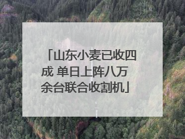 山东小麦已收四成 单日上阵八万余台联合收割机