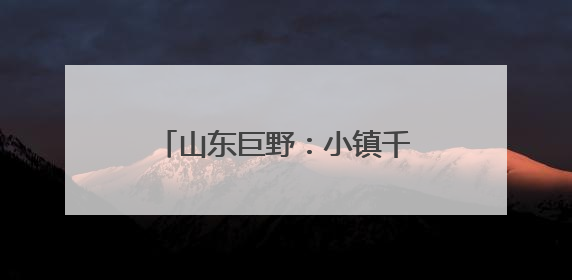 山东巨野：小镇千亩胡萝卜基地迎来“智慧大丰收”