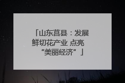 山东莒县：发展鲜切花产业 点亮“美丽经济”