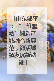 山东邹平：“三维驱动”锻造产城融合新典范，激活城镇发展新动能