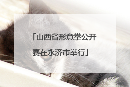 山西省形意拳公开赛在永济市举行