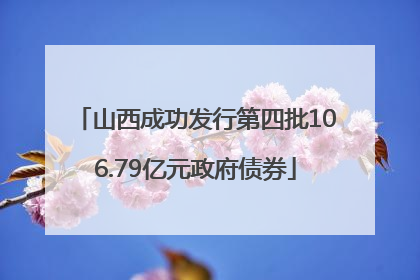 山西成功发行第四批106.79亿元政府债券
