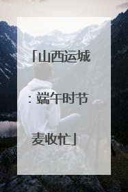 山西运城：端午时节麦收忙