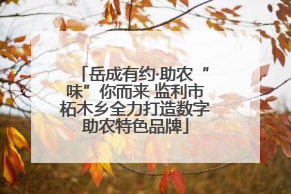 岳成有约·助农“味”你而来 监利市柘木乡全力打造数字助农特色品牌