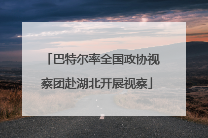 巴特尔率全国政协视察团赴湖北开展视察