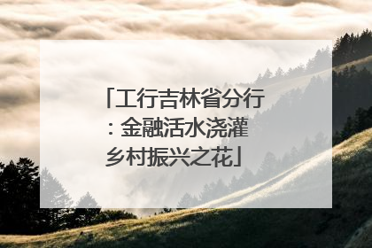 工行吉林省分行：金融活水浇灌 乡村振兴之花