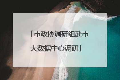 市政协调研组赴市大数据中心调研