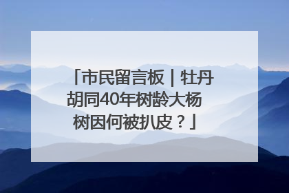 市民留言板｜牡丹胡同40年树龄大杨树因何被扒皮？