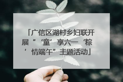 广信区湖村乡妇联开展“‘童’享六一‘粽’情端午”主题活动