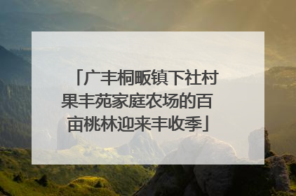 广丰桐畈镇下社村果丰苑家庭农场的百亩桃林迎来丰收季