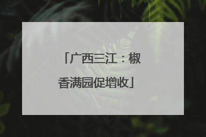 广西三江：椒香满园促增收