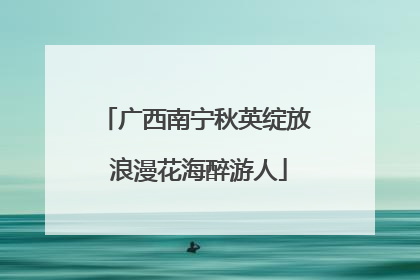 广西南宁秋英绽放 浪漫花海醉游人