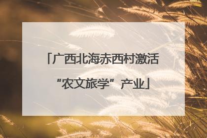 广西北海赤西村激活“农文旅学”产业
