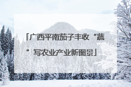广西平南茄子丰收“蔬”写农业产业新图景