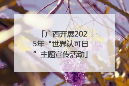 广西开展2025年“世界认可日”主题宣传活动