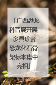 广西恐龙科普展开展 多具珍贵恐龙化石骨架标本集中亮相