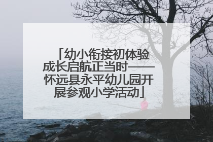幼小衔接初体验 成长启航正当时——怀远县永平幼儿园开展参观小学活动