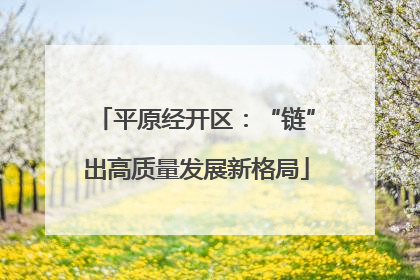 平原经开区：“链”出高质量发展新格局