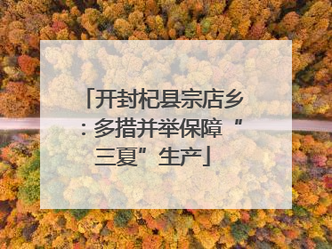 开封杞县宗店乡：多措并举保障“三夏”生产