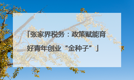 张家界税务：政策赋能育好青年创业“金种子”