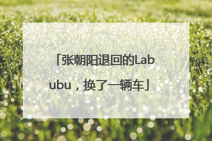 张朝阳退回的Labubu，换了一辆车