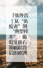 弦外音｜从“免疫者”到“典型样本”：葡萄牙极右翼崛起背后的欧洲困局