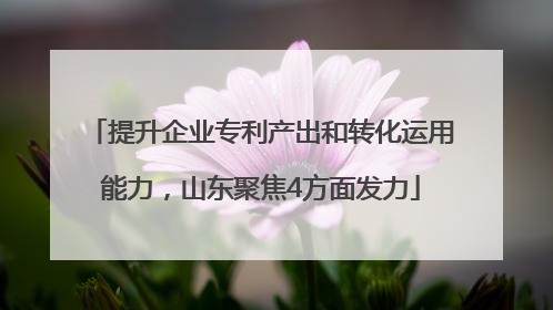 提升企业专利产出和转化运用能力，山东聚焦4方面发力