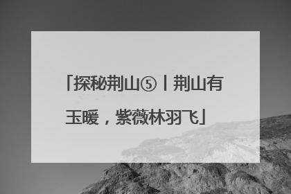 探秘荆山⑤丨荆山有玉暖，紫薇林羽飞