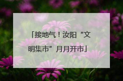 接地气！汝阳“文明集市”月月开市