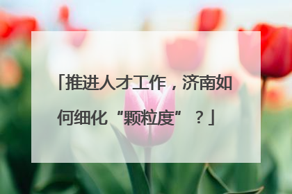 推进人才工作，济南如何细化“颗粒度”？